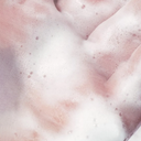 C4: Gentle Body Cleanser